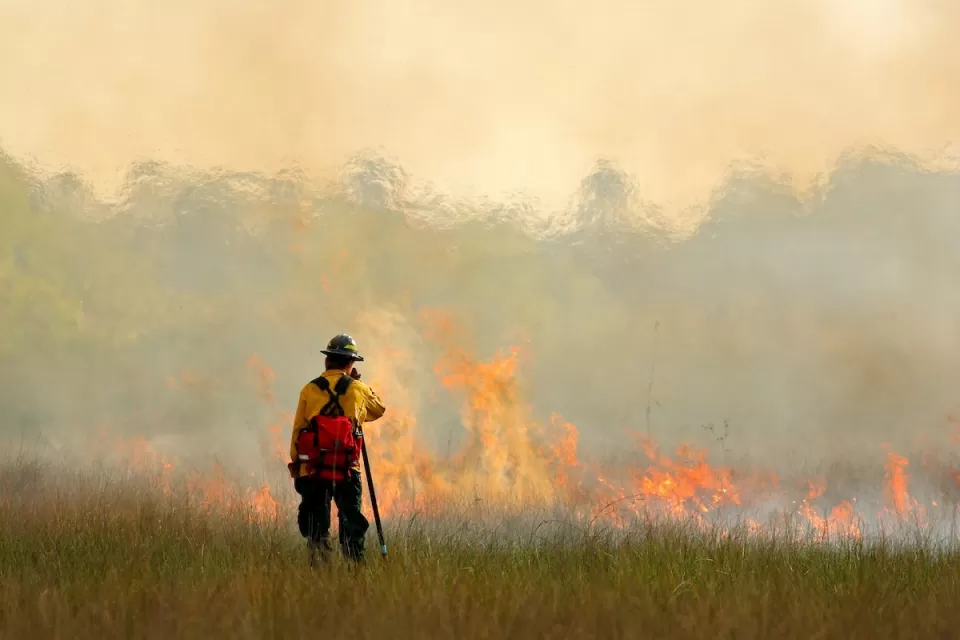 Firefighter in yellow uniform stands in grassy field monitoring wildfire in the Everglades, Florida.